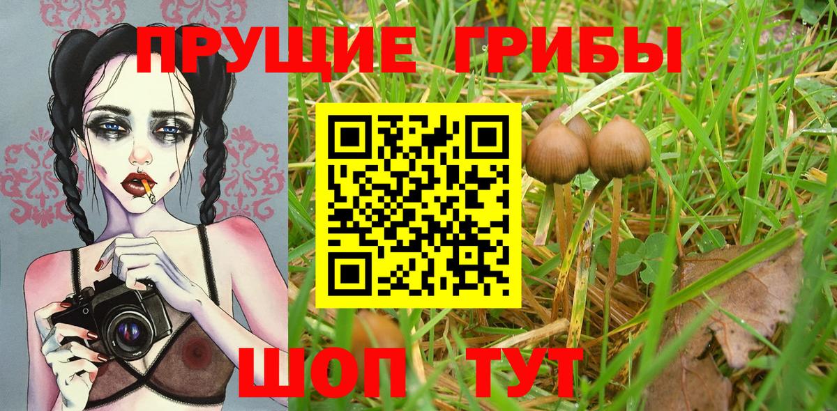 Псилоцибиновые грибы мицелий Ступино