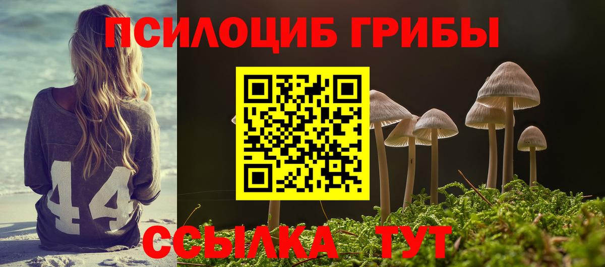 Галлюциногенные грибы прущие грибы  Вход с VPN  Ступино  Галлюциногенные грибы прущие грибы 